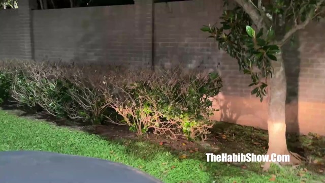 Scène de hd avec l'amusante pute de The Habib Show