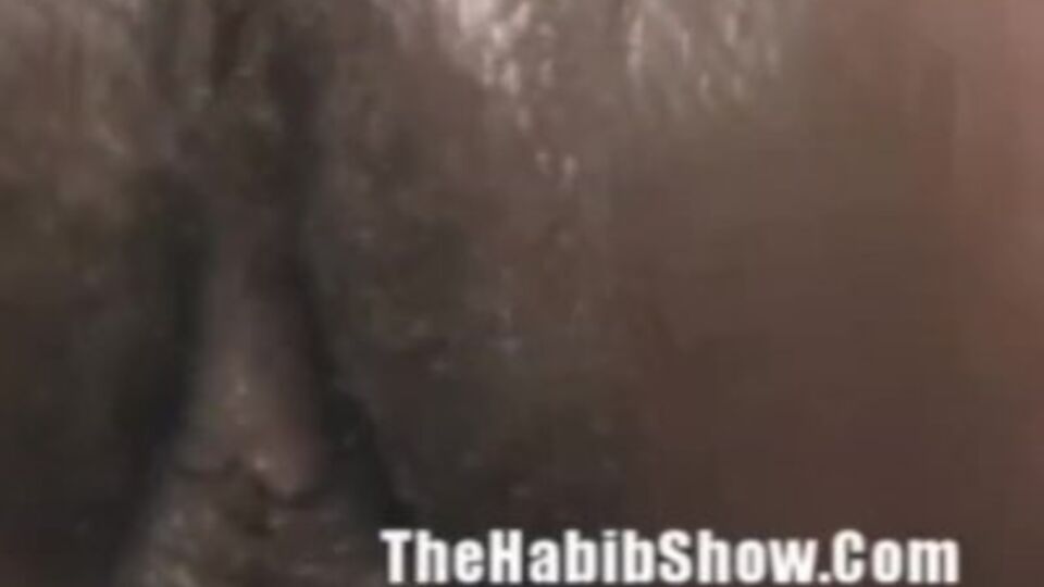 Amada em ébano pornografia no The Habib Show