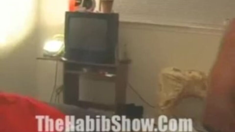 The Habib Show featuring Mercedes's thehabibshow.com video