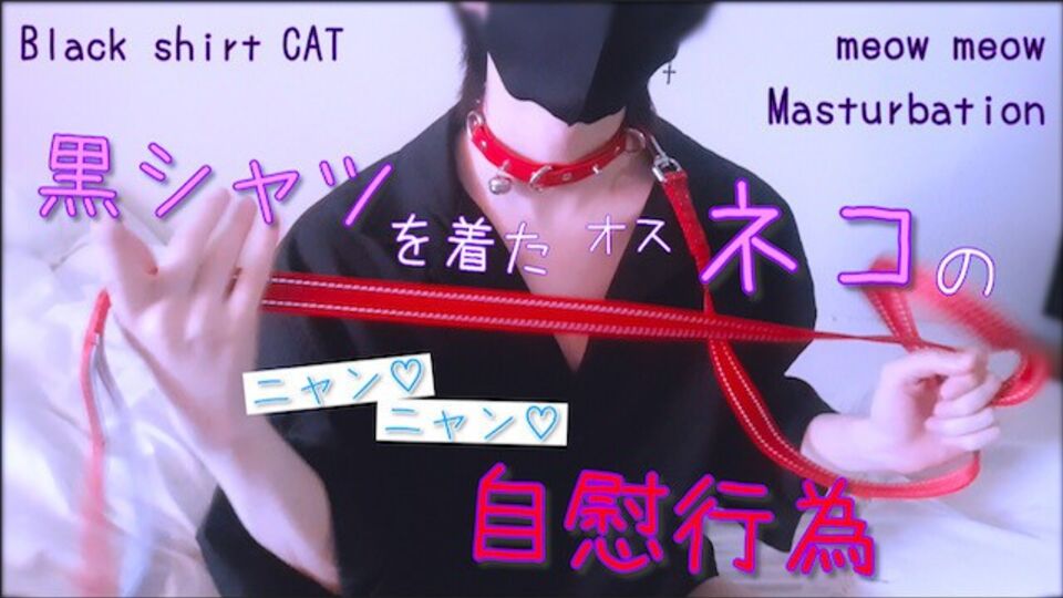 Graceful kawainoani's gay cat action