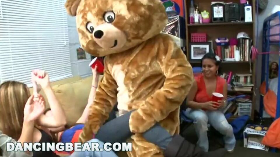 Dancing Bear - hd ट्रेलर