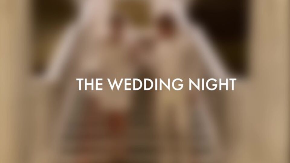 Impeccable Remlic's wedding sex porn