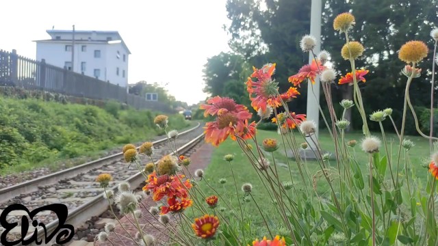 Footjob dirt with rocking ElivaLove from Verified Amateurs