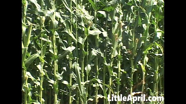 Petite Blonde and Little April's babe movie by Little April