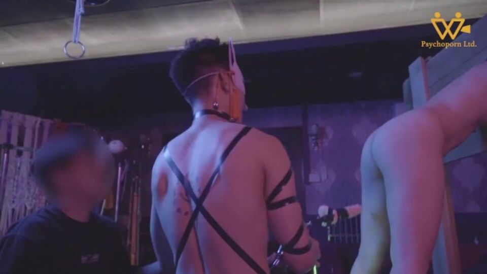 Watch temperament kitten's porn