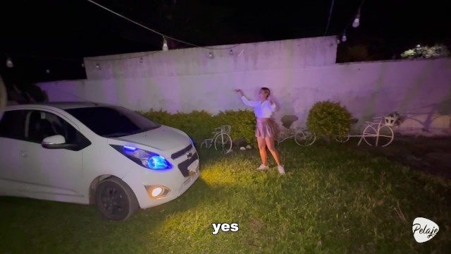 Pretty Face en acción de hd de Pelaje Mix