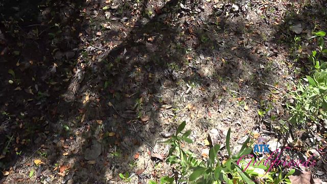 ATK Girlfriends presenta azione punto di vista con Riley Rose